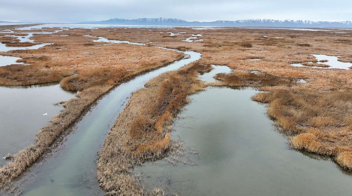 The Willard Spur Waterfowl Management Area near the Great Sale Lake is pictured in Box Elder County on Tuesday.