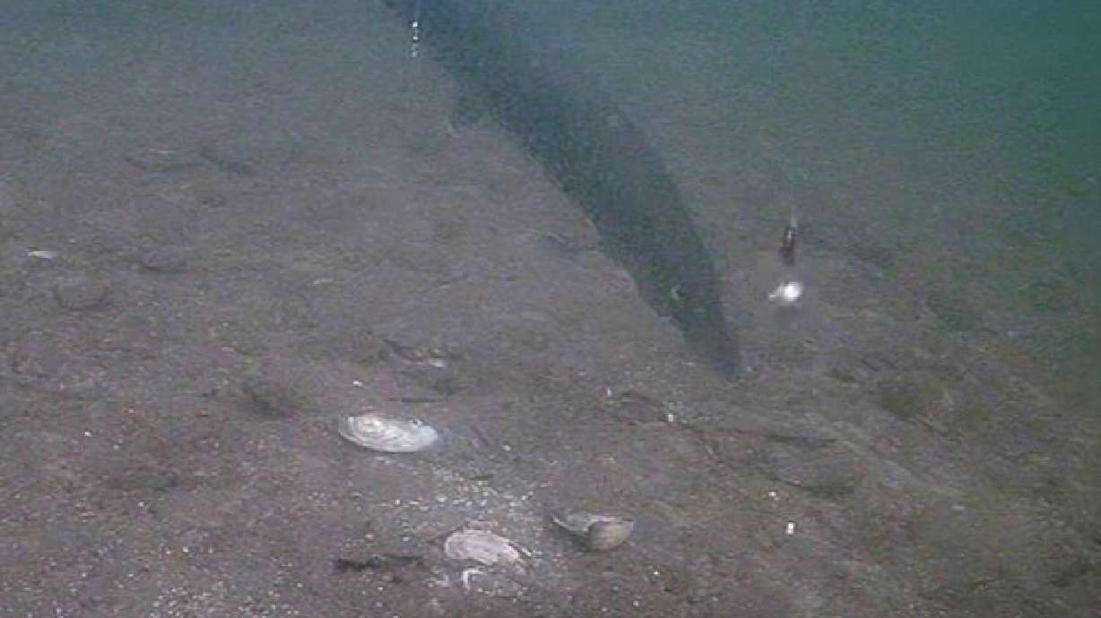 A northern pike reacts to an underwater camera in a southern Saskatchewan lake, in Canada, in this Dec. 27, 2023, video.