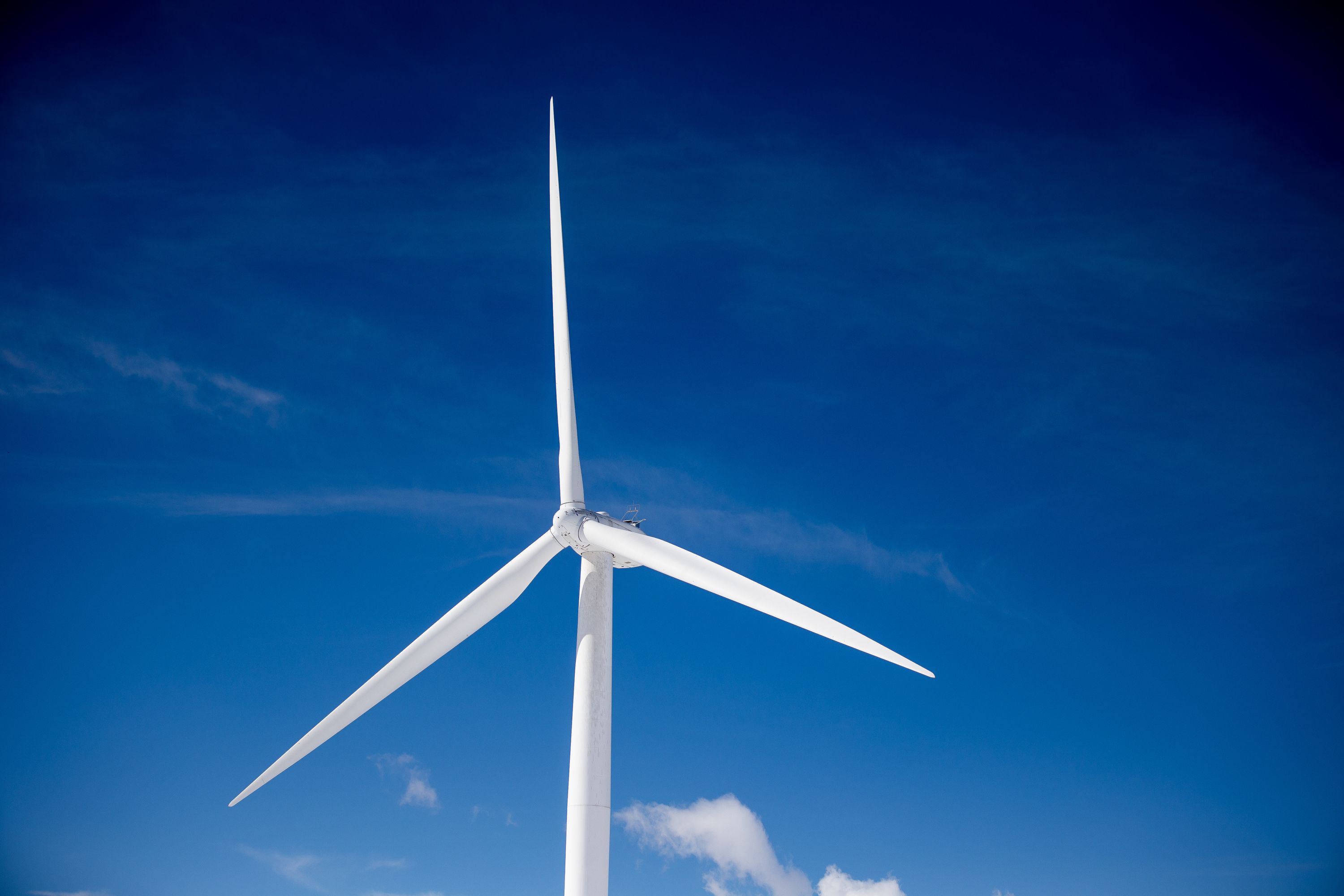 Wind turbines stand at the mouth of Spanish Fork Canyon in Spanish Fork on Feb. 18, 2021. One Utah lawmaker likened the state’s energy policy to a “run-over lizard.”