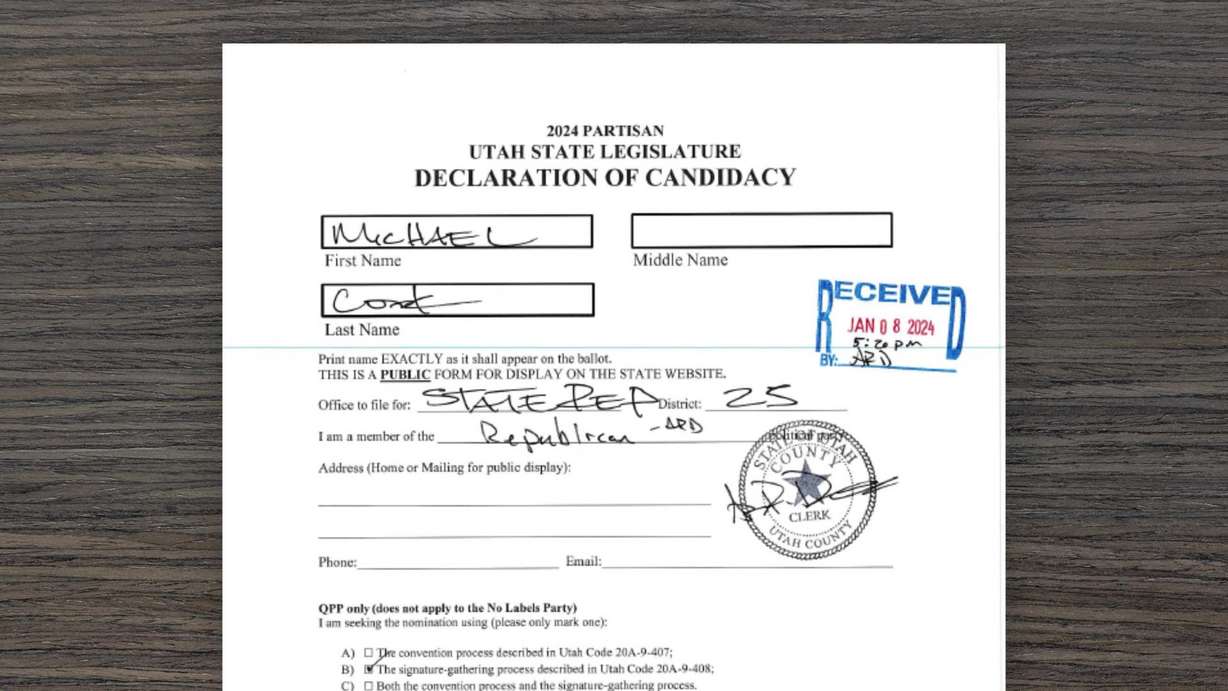 The form that candidate Michael Cook initially filed out and that Utah County Clerk Aaron Davidson edited further.