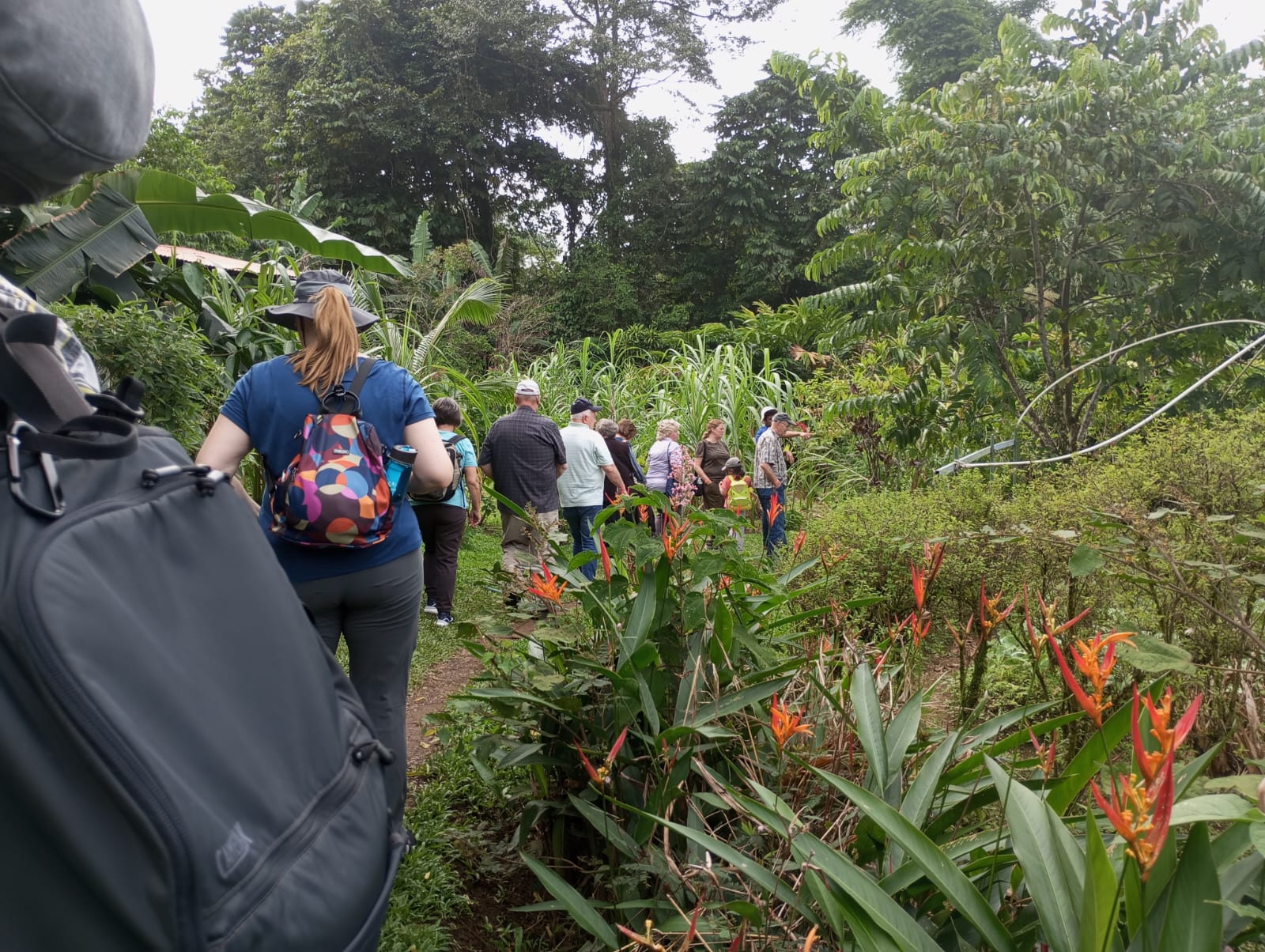 Tour incomparable Costa Rica with experienced Utah tour group
