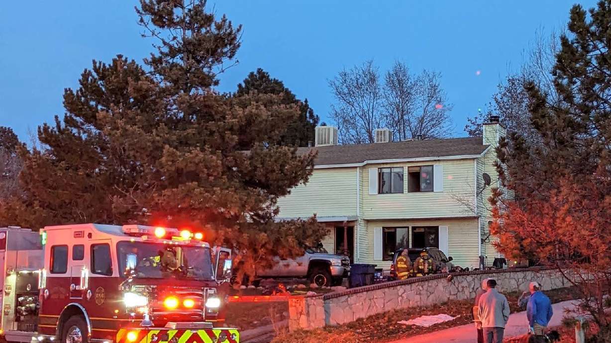 A man was arrested in connection with a structure fire in North Salt Lake that left nine puppies dead, according to North Salt Lake police