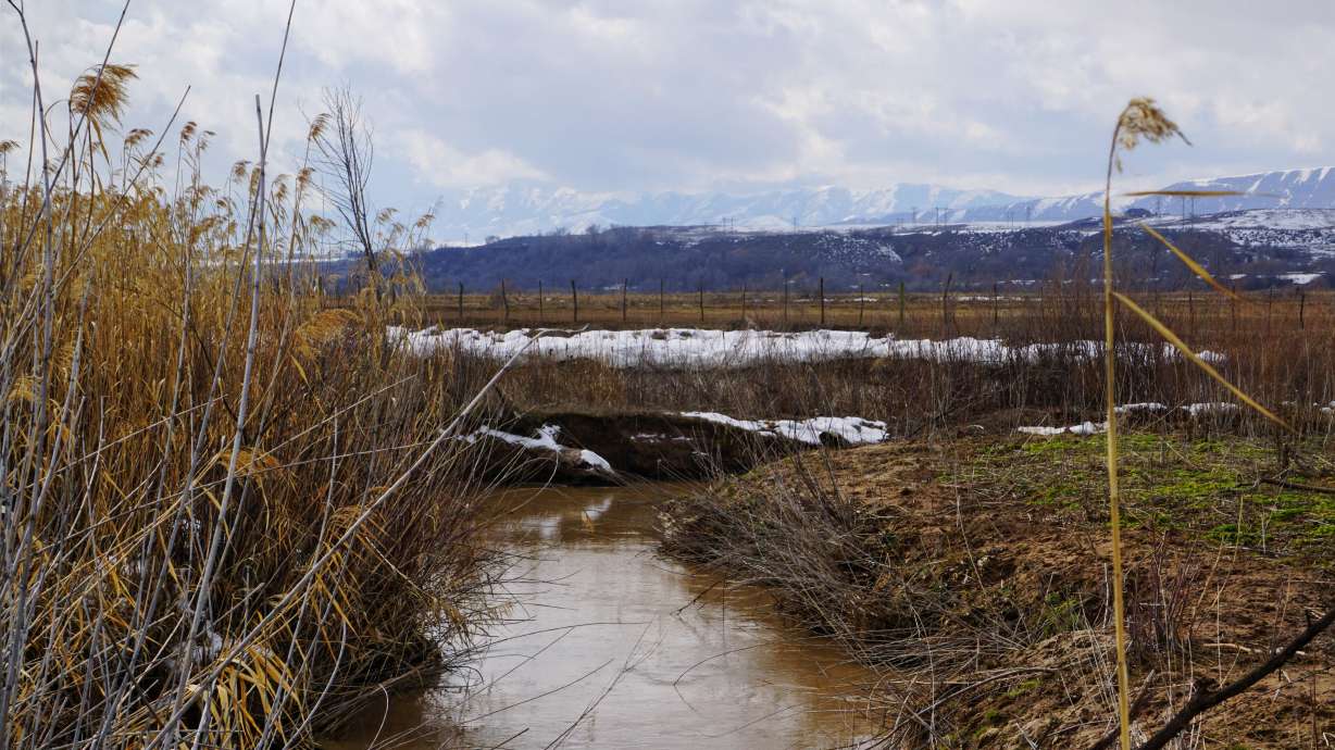 Battle Creek runs toward the Bear River in southern Idaho on Feb. 14. The Northwestern Band of the Shoshone Nation is undertaking a water restoration project to create a protected wetland at the site of the Bear River Massacre.