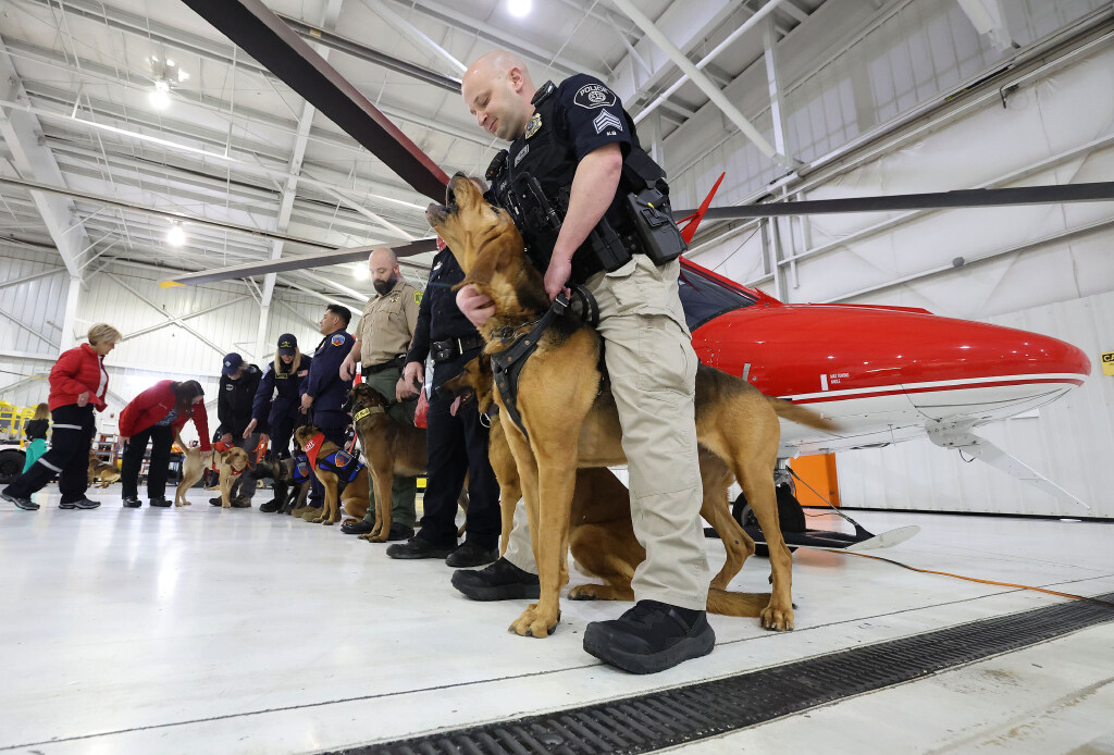 Woods Cross Sgt. Corey Boyle and his dog Ranger and other K-9 handlers stand at press conference in Salt Lake City on Tuesday. Intermountain Life Flight is launching a specialized K-9 air transport service for public agency service animals who are injured in the line of duty.