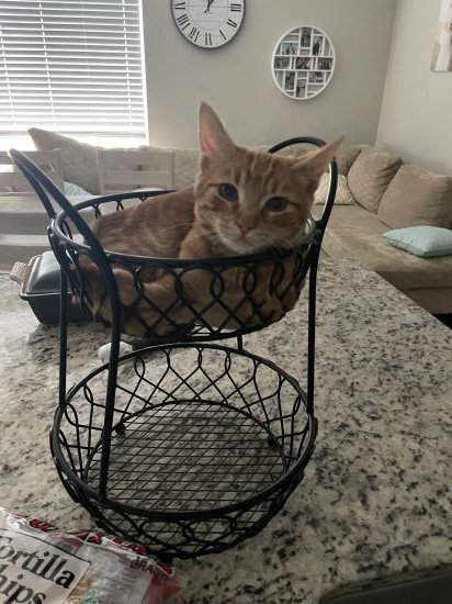 Gob in "his" fruit basket.