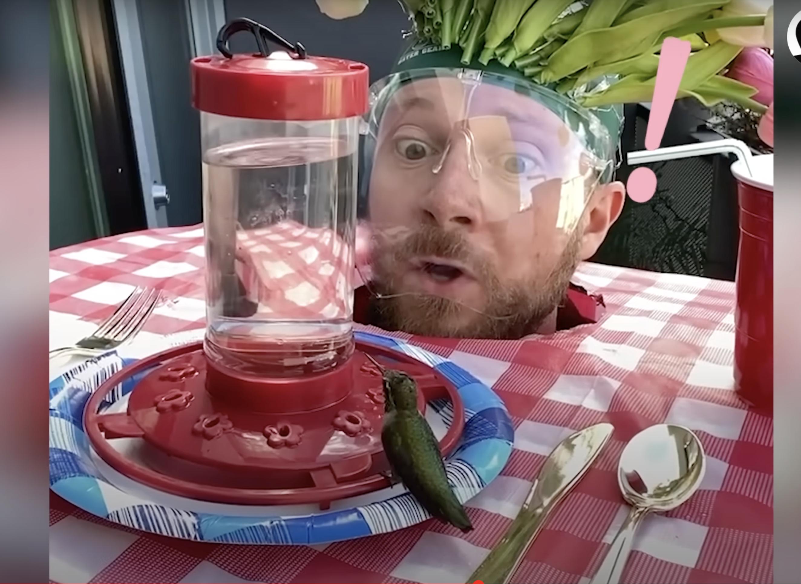 Have You Seen This? Man uses elaborate costumes to attract, feed ...