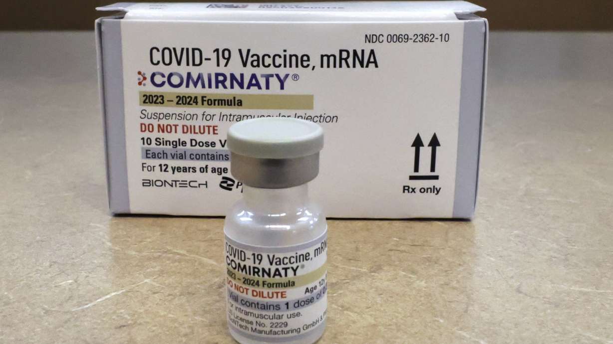 Older U.S. adults should roll up their sleeves for another COVID-19 shot, even if they received a booster in the fall, an advisory panel said Wednesday.