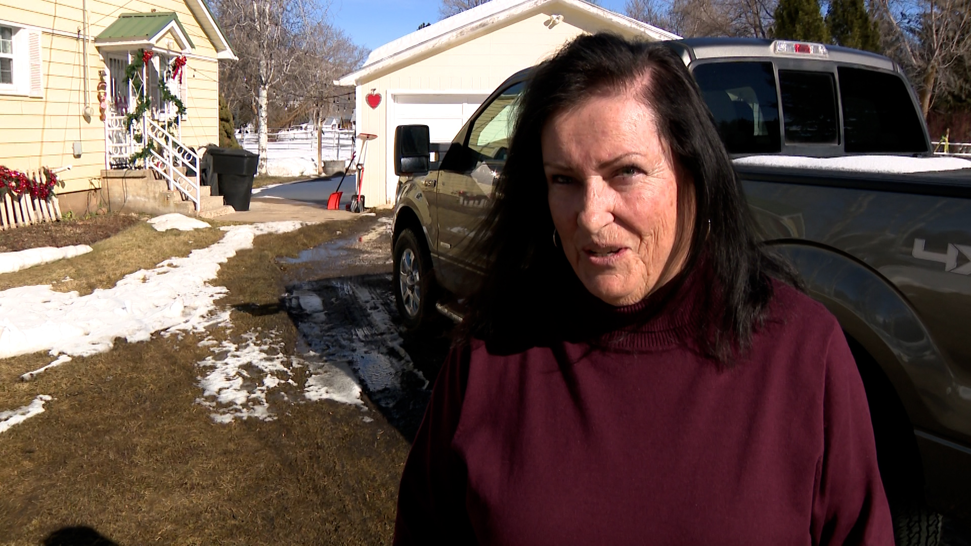 Carol Stocker has had traps placed in her driveway to keep the turkeys away.