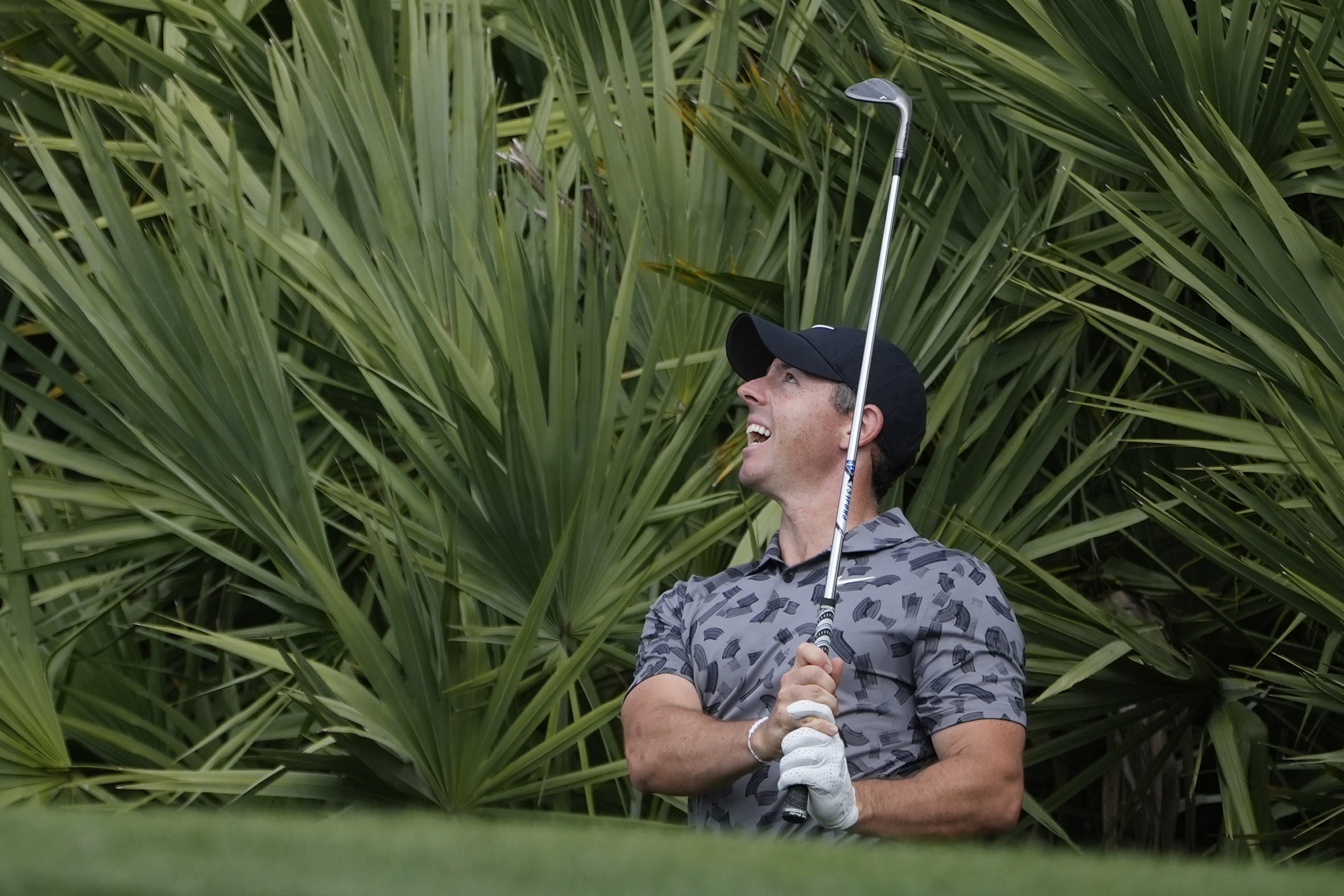 Rory McIlroy of Northern Ireland hits from the rough on the eighth green during the first round of the Cognizant Classic golf tournament, Thursday, Feb. 29, 2024, in Palm Beach Gardens, Fla. 