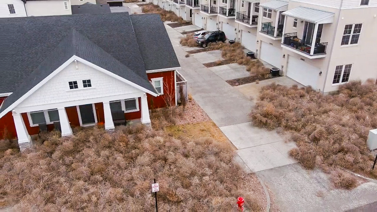 A windstorm blew hundreds of tumbleweeds toward houses in the Daybreak community in South Jordan on Saturday.