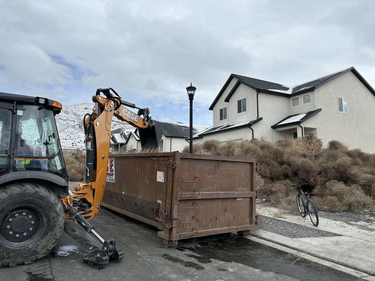 A loader putting tumbleweeds into a dumpster. On Saturday, thousands of tumbleweeds blew into Eagle Mountain neighborhoods.