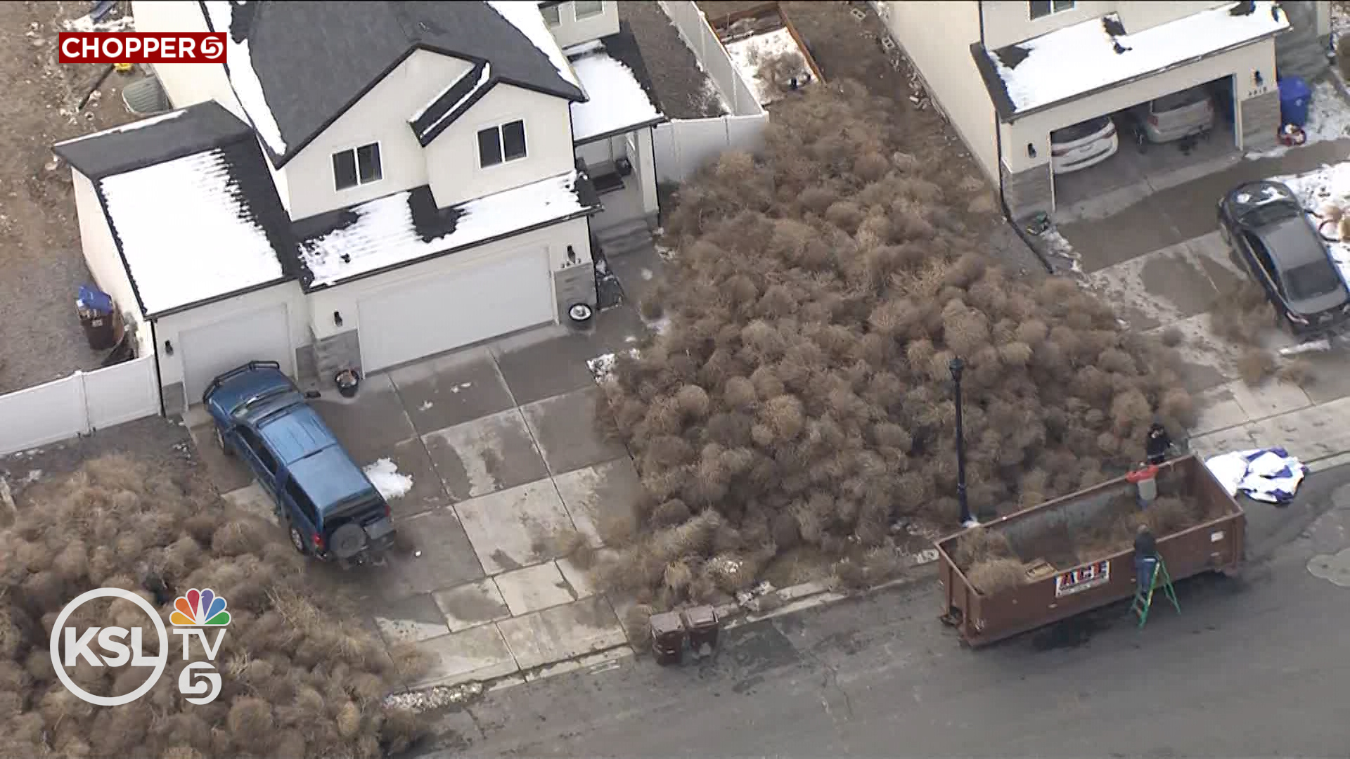 Thousands of tumbleweeds in front of Eagle Mountain homes.