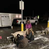 Stansbury Park store employees, locals rally together to help stranded farmers