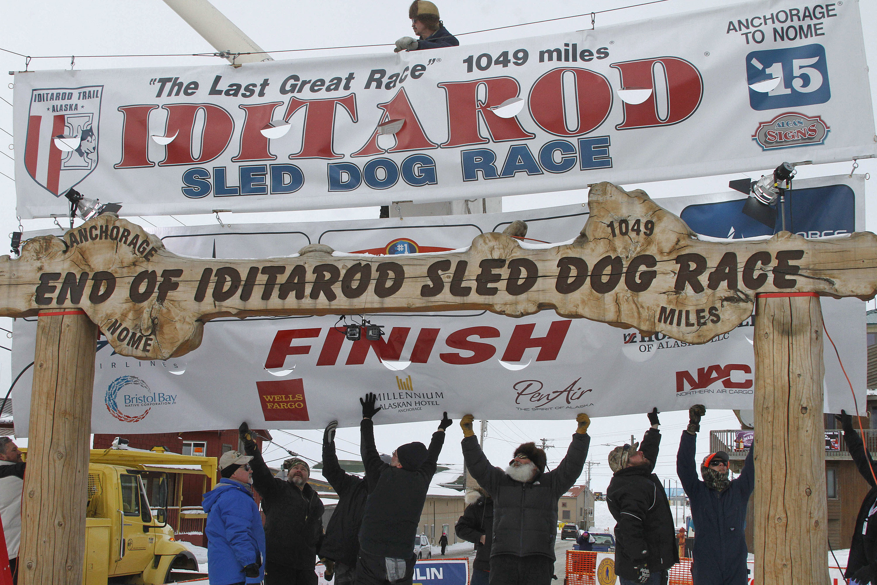 Volunteers help raise the Iditarod finishers banner at the burled arch finish line in Nome, Alaska, March 16, 2015. Two dogs from separate teams have died while competing in this year's Iditarod.