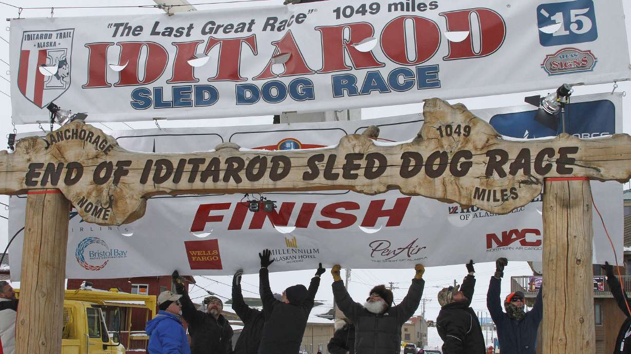 Volunteers help raise the Iditarod finishers banner at the burled arch finish line in Nome, Alaska, March 16, 2015. Two dogs from separate teams have died while competing in this year's Iditarod.
