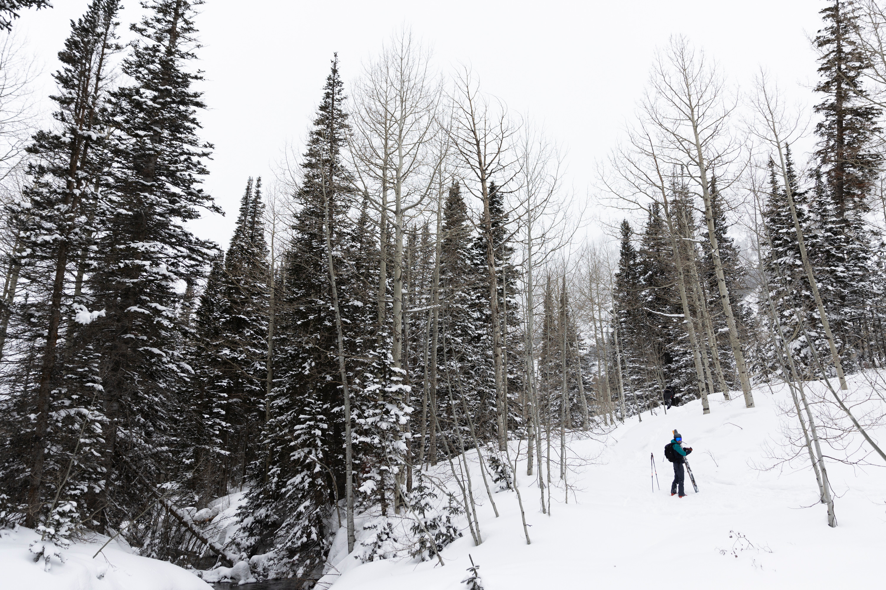 A skier is seen at the Whitepine Trailhead in Alta on March 4. Utah's snowpack reached the state's annual average last week and more snow is expected this week, with most of it coming on Tuesday.