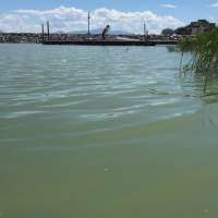 'Great Carp Hunt' returns to Utah Lake as fight against invasive fish persists