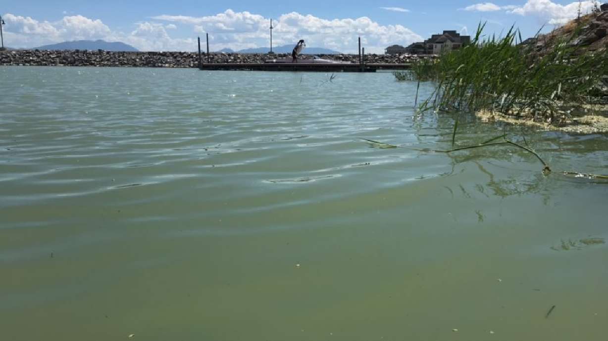 Utah Lake near Saratoga Springs. The Utah Lake Authority has announced its second annual "Great Carp Hunt" in efforts to protect the ecosystem.