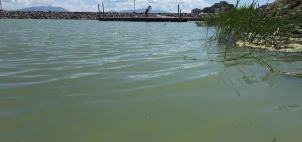 'Great Carp Hunt' returns to Utah Lake as fight against invasive fish persists