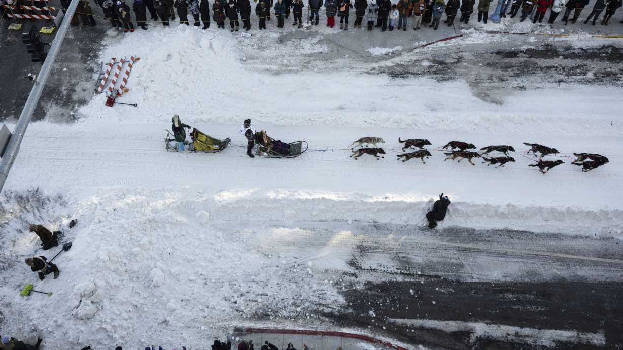 FILE - A musher leaves downtown during the ceremonial start of the Iditarod Trail Dog Sled Race on Saturday, March 2, 2024, in Anchorage, Alaska. This year the deaths of three dogs during the race — and five more during training — have refocused attention on the sport’s darker side and raised questions about the ethics of asking animals to pull a heavy sled for hundreds of miles in subzero temperatures.
