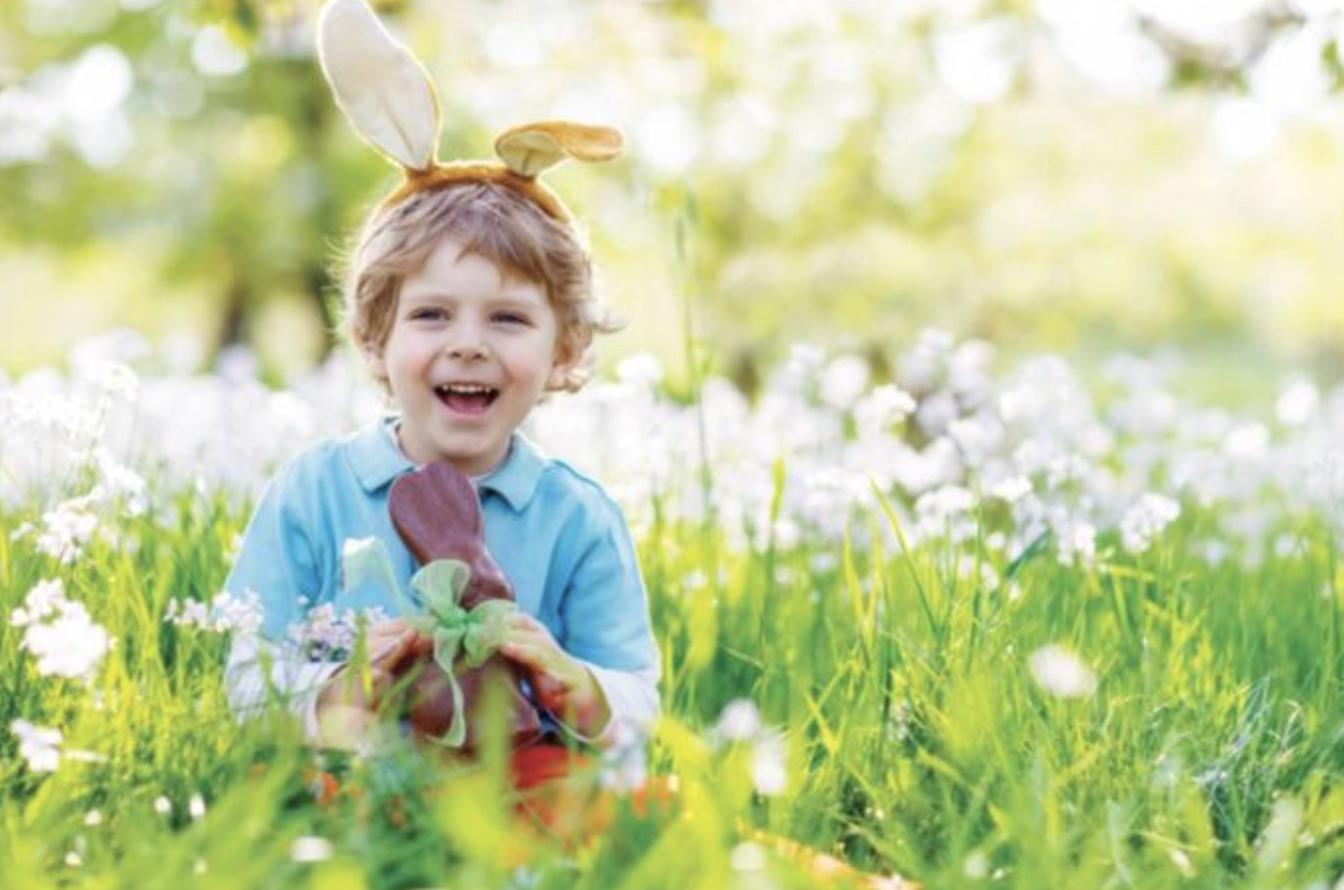 Enjoy an Easter eggstravaganza, spring break and more at  Mountain View Village