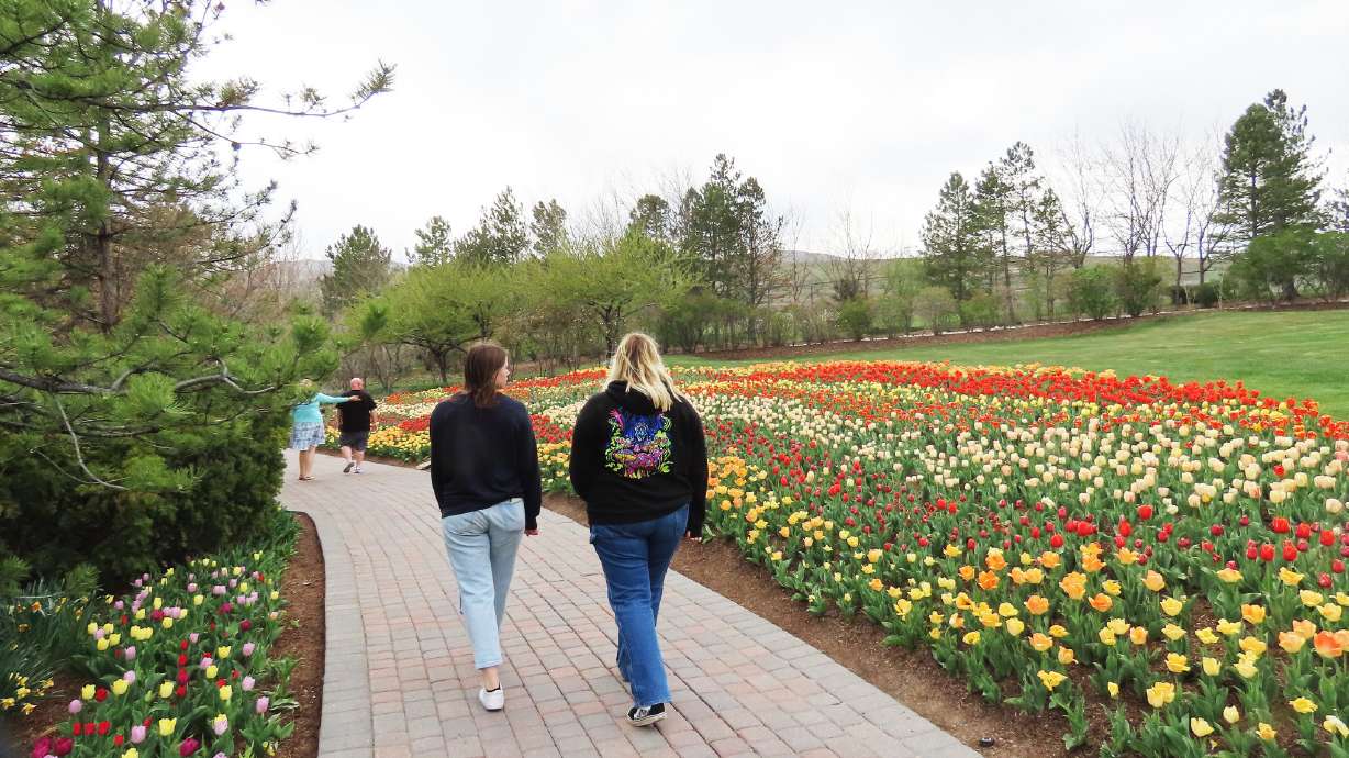 These memorable Utah Valley activities might be best enjoyed in the spring