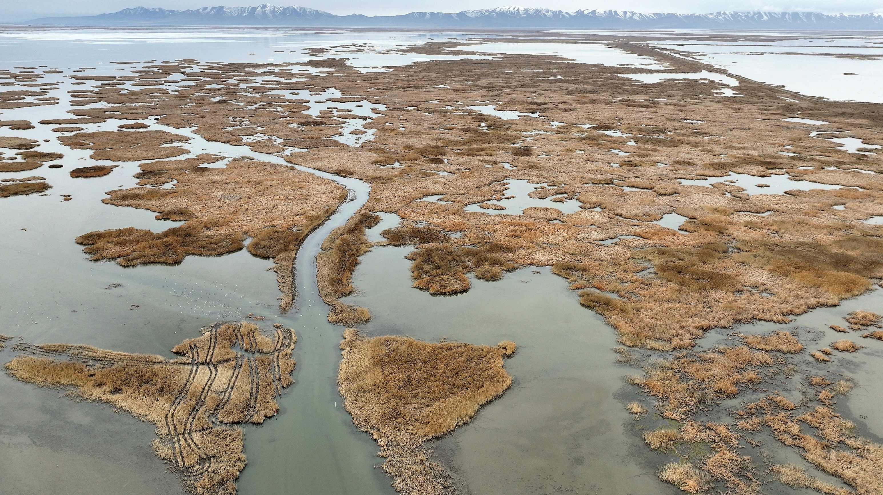 The Willard Spur Waterfowl Management Area near the Great Salt Lake in Box Elder County on Feb. 6. The Great Salt Lake Watershed Enhancement Trust released a new five-year plan on Tuesday, outlining its goals to keep water flowing to the lake.