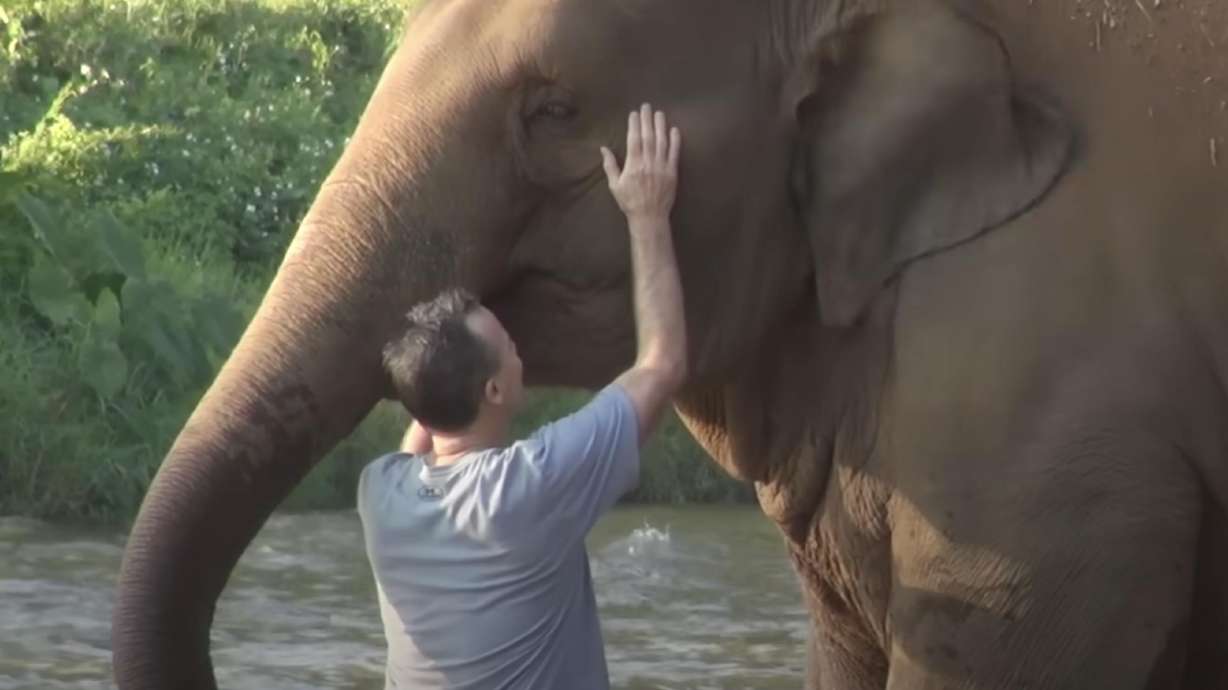 Kham-La the elephant has found her soulmate, and his name is Darrick Thomson, one of the elephant trainers at Elephant Nature Park.