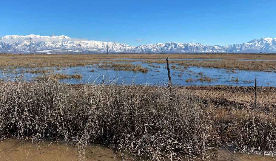 Utah Inland Port Authority's Ben Hart said Monday officials are reviewing the massive inland port proposal in western Weber County. The image comes from a February inland port newsletter item on a visit by port authority officials to the zone.