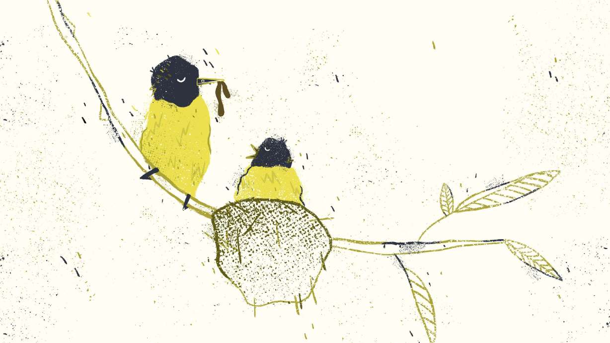 In Utah, 94% of the people dropped from Medicaid rolls recently lost coverage without any determination of being ineligible.