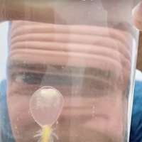 Have You Seen This? Creepy 'spaghetti monster' washes up on shore