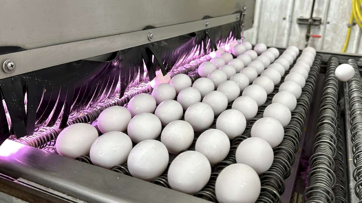 Eggs are cleaned and disinfected at the Sunrise Farms processing plant in Petaluma, Calif., on Jan. 11. Egg prices are at near-historic highs in many parts of the world as the spring holidays approach.
