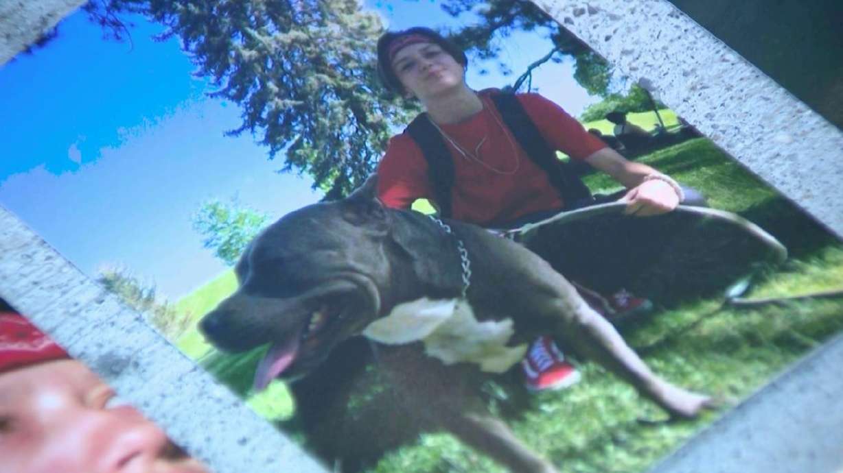Two men were sentenced on Wednesday for crimes associated with the death of Alex Franco on March 17, 2024.