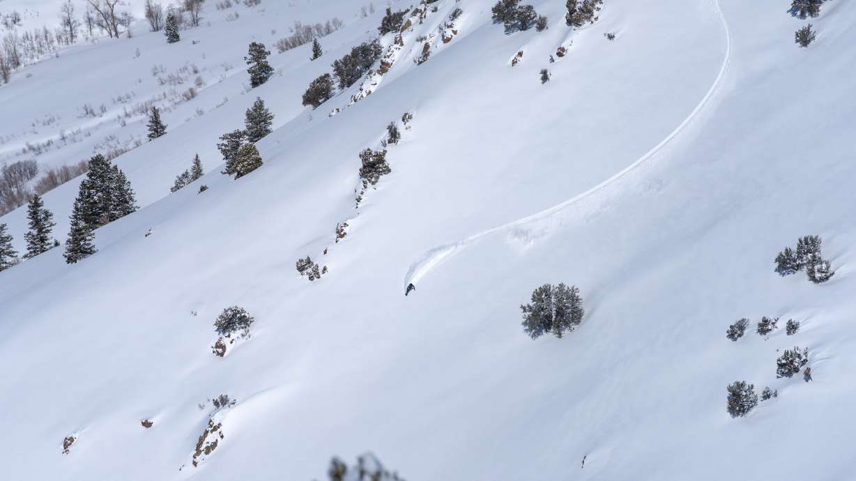 A skier travels down a segment of Wolf Creek Canyon/DMI at Powder Mountain Resort. The resort announced Friday it is adding new public terrain in the area and new private terrain elsewhere through a new lift and land deal.