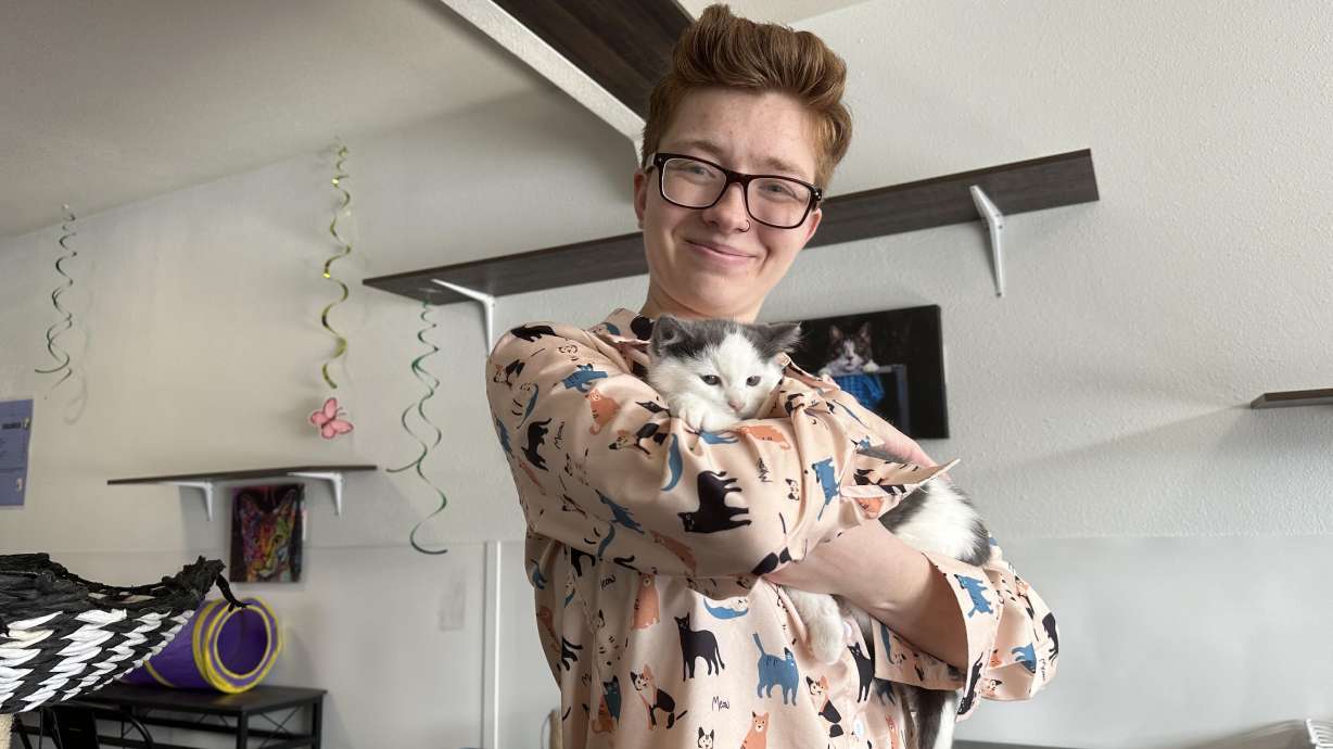 Areah Watterson holds Rookie, one of the kittens, at the newly opened Fawn's Family Cat Rescue and Lounge in Bountiful on Friday.