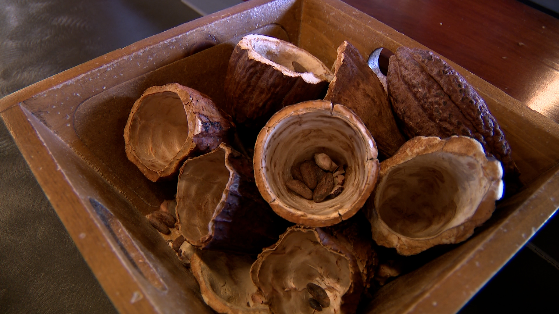 Cocoa beans in a small container at the Aggie Chocolate Factory in Logan on Friday. Steve Bernet, manager of the chocolate factory, says there's no end in sight for a major chocolate shortage, and Utahns might start to see it as a consumer in more ways than one.