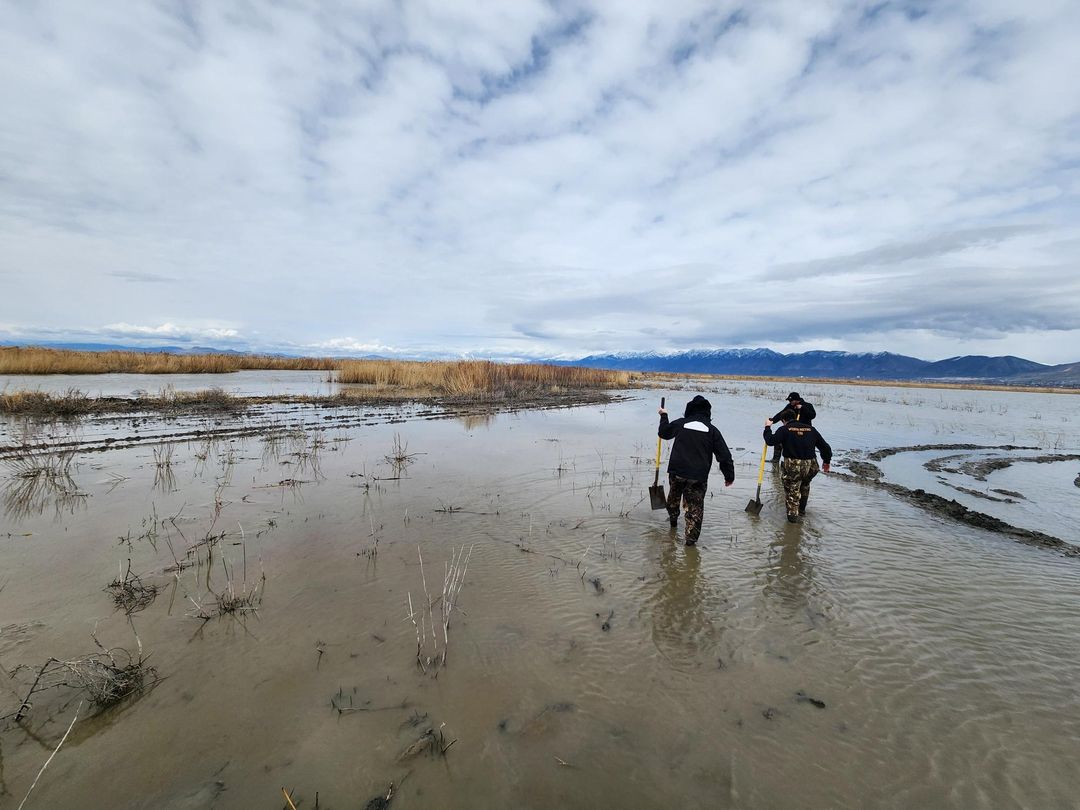 Human skeletal remains were found on the northwest side of Willard Bay Saturday morning.