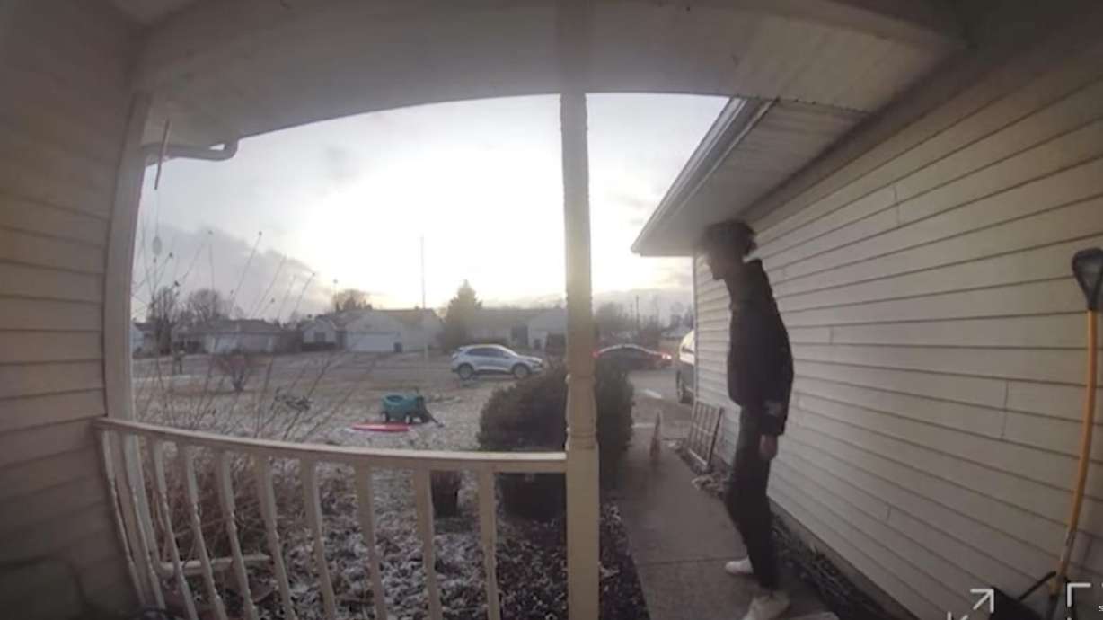 A cat startles a DoorDash delivery driver.