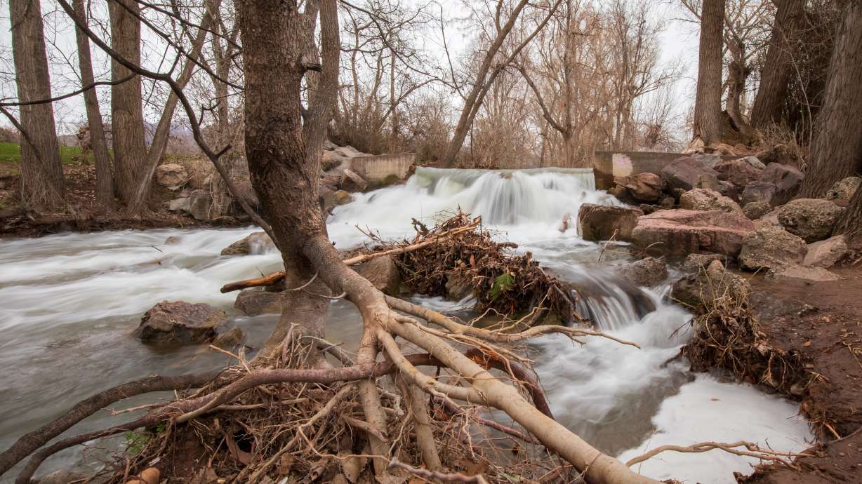 Parleys Creek flows through Sugar House Park on Saturday. Salt Lake City Public Utilities already started controlled releases from reservoirs in Parleys canyons but increased daily releases on Tuesday.