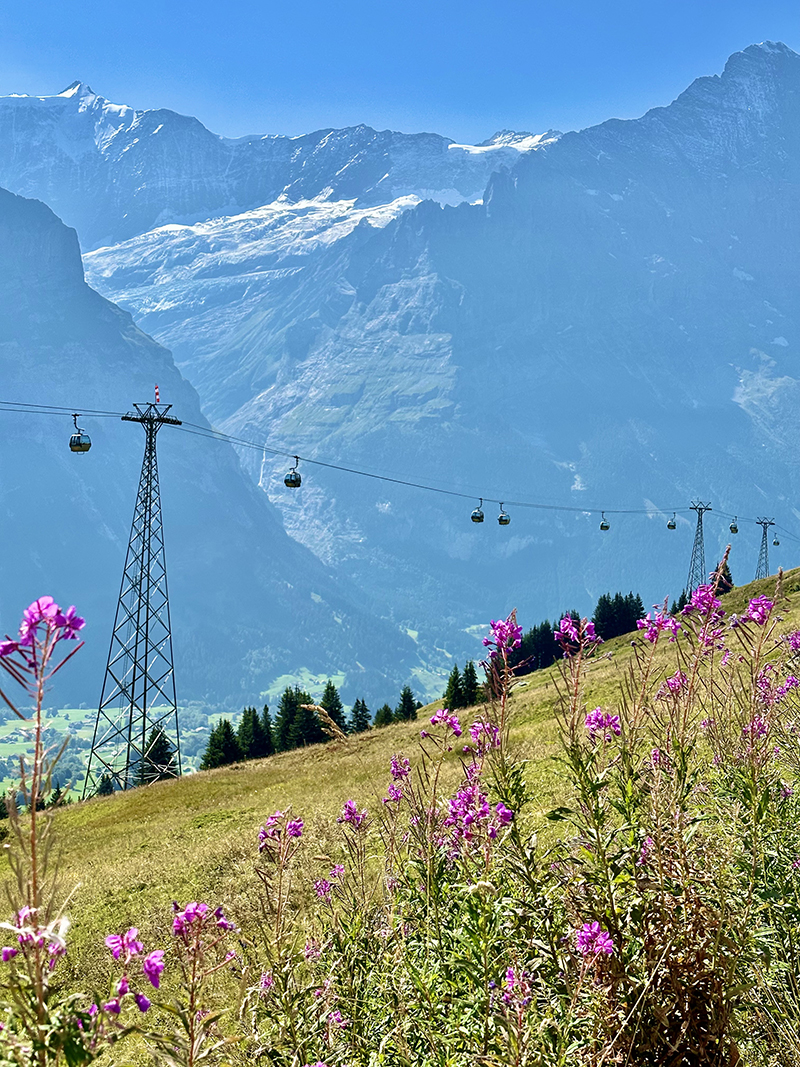 Visit Switzerland for $4,000 — including airfare out of SLC