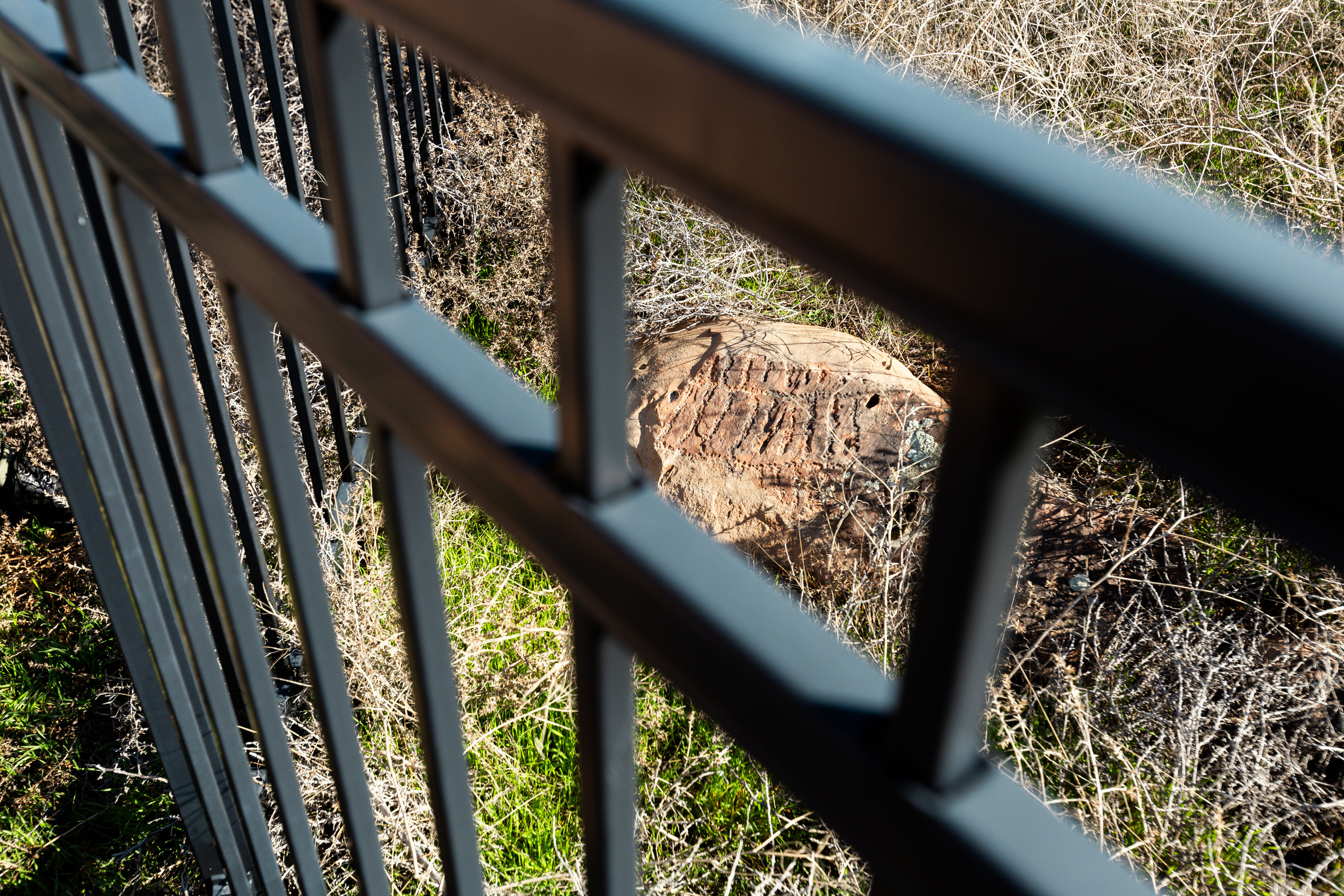 Petroglyphs are seen on a rock through fences that were built to protect them in Eagle Mountain on Wednesday. The city of Eagle Mountain has tried to work together with private landowners and developers to preserve the scattered petroglyphs despite continued development in the fast-growing area.