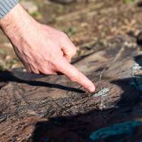 Utah bill seeks to increase penalties for vandalizing public lands