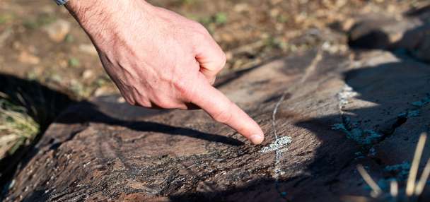 Top Outdoors story anchor