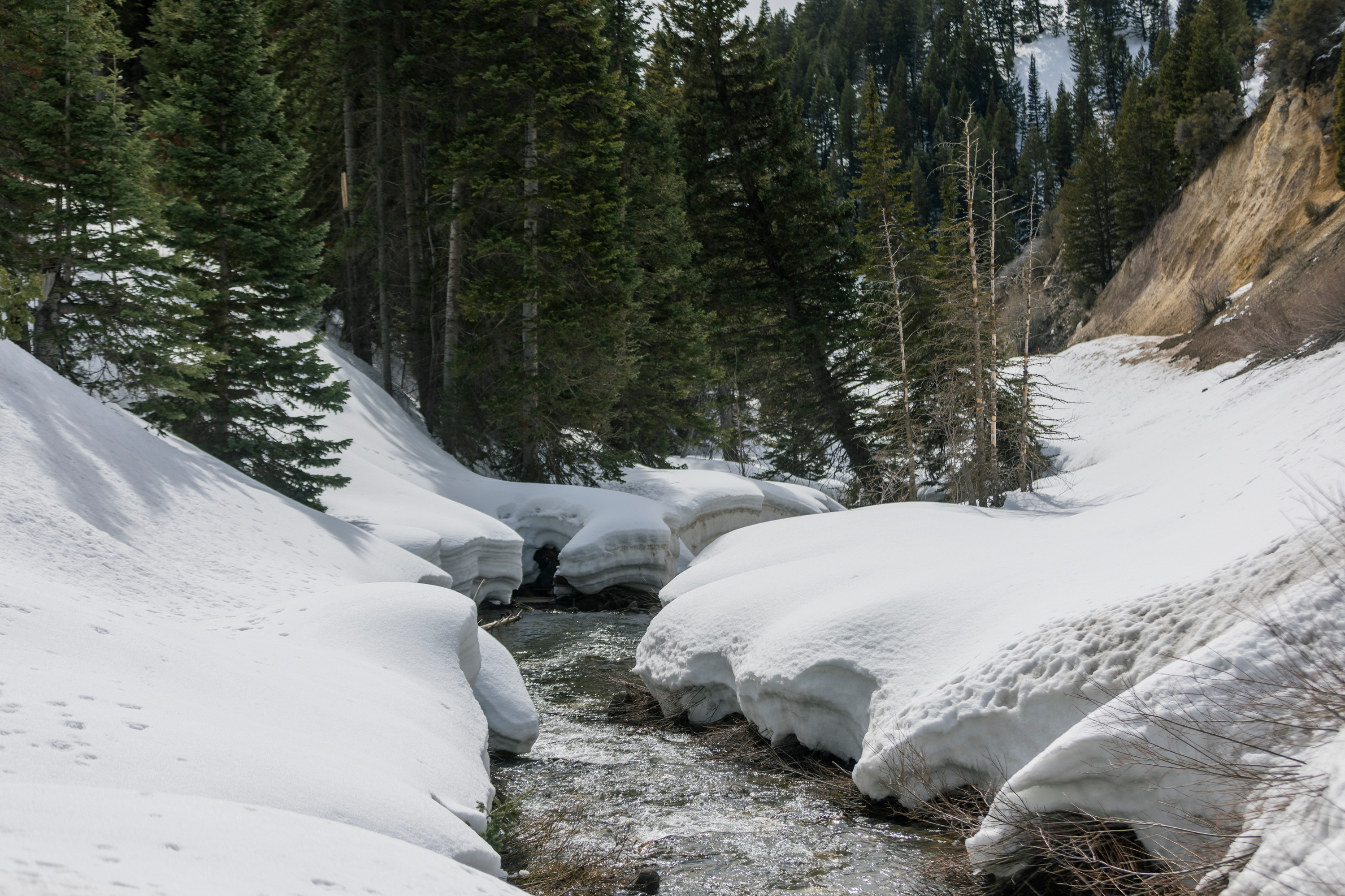 Runoff water flows down Big Cottonwood Creek from the Wasatch Mountains in Big Cottonwood Canyon on Thursday.