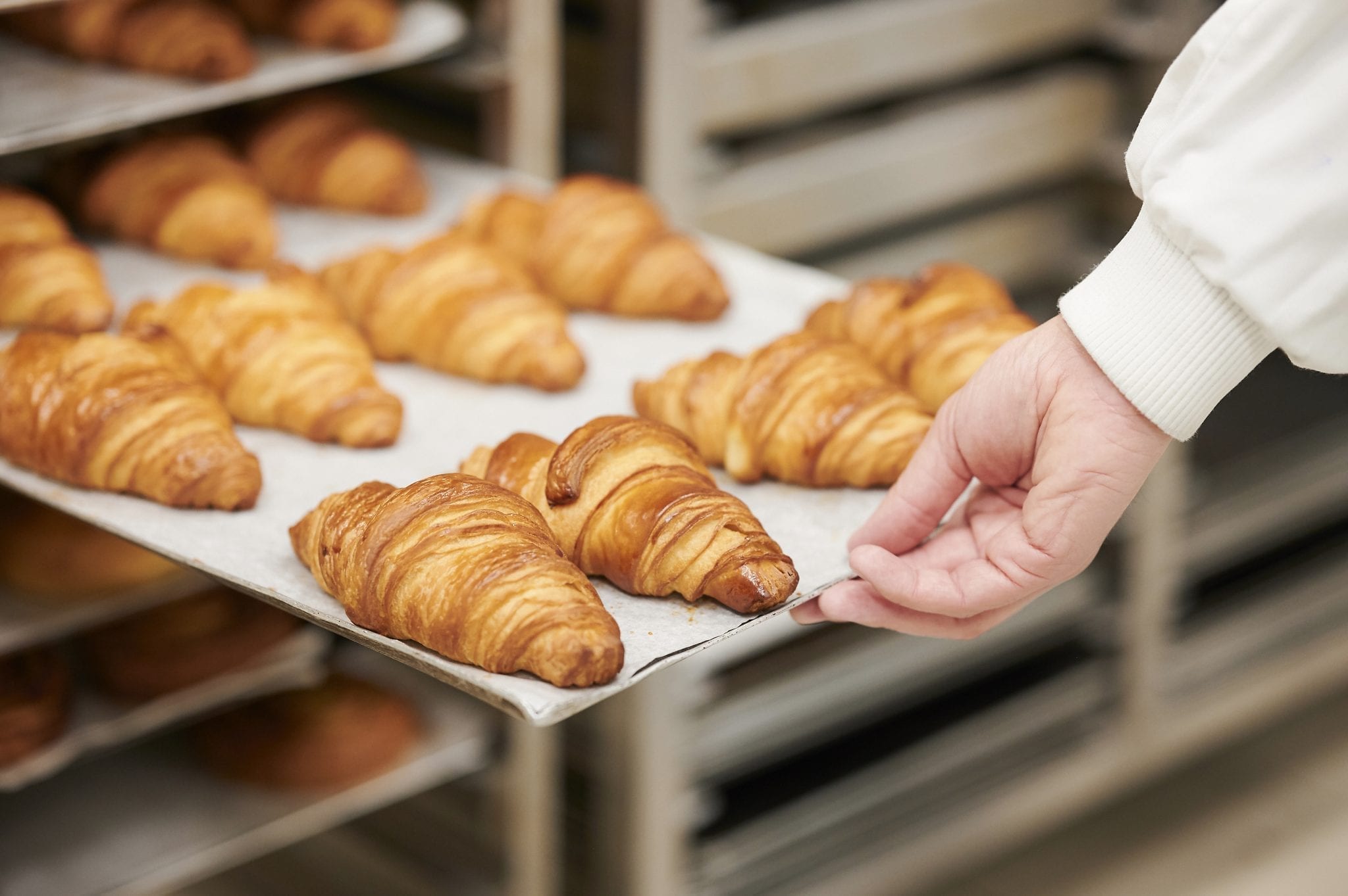 Bridor, a wholesale manufacturer of pastry and bread dough, could be investing over $200 million into a new facility in Box Elder County.