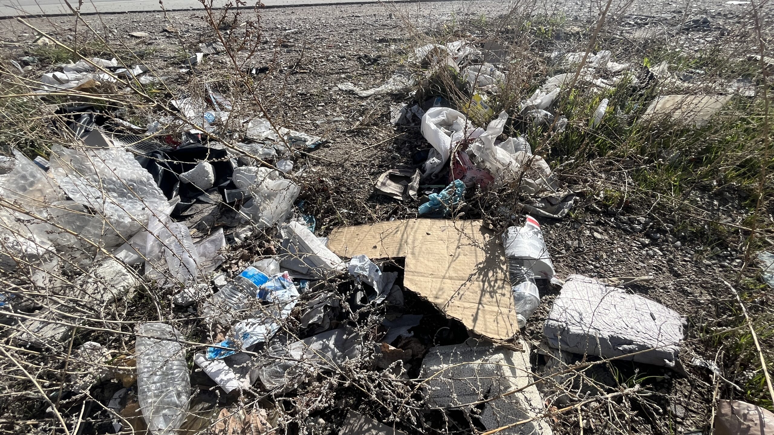 Taylor Jensen is determined to remove trash from Utah's highways and scenic areas.