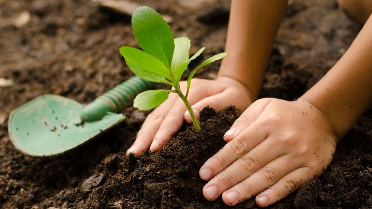 7 Earth Day events happening in Utah