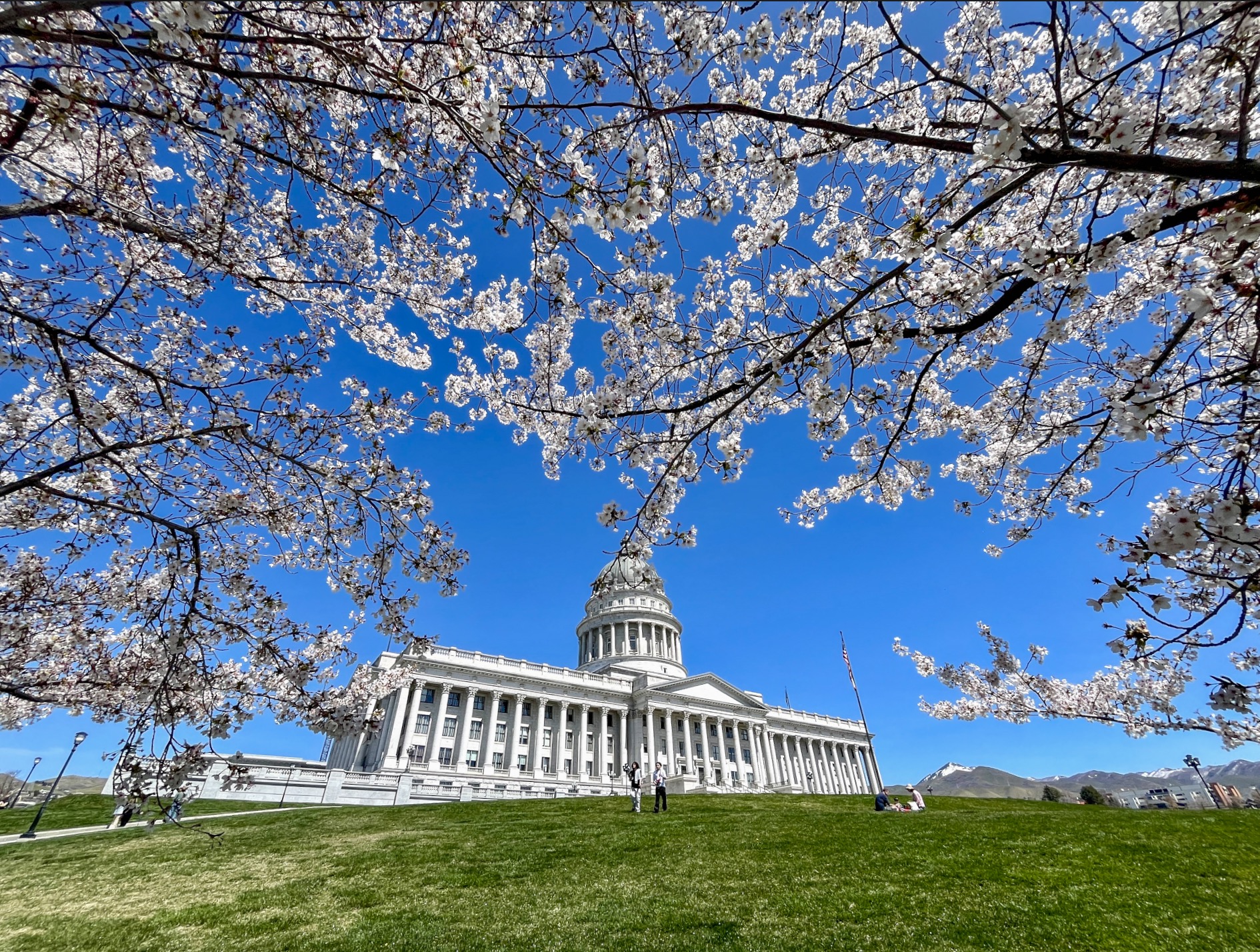 Cherry blossoms at the Utah Capitol in Salt Lake City on Thursday. Salt Lake City tied an 88-year-old temperature record on Friday, but cooler temperatures are on the horizon.
