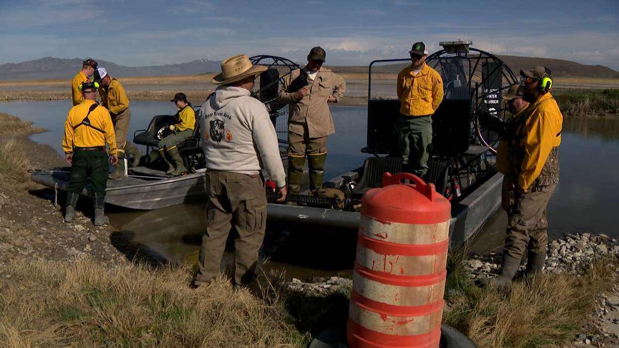 Crews started to burn approximately 2,000 acres of invasive phragmites in the Ogden Bay Wildlife Management Area Friday.
