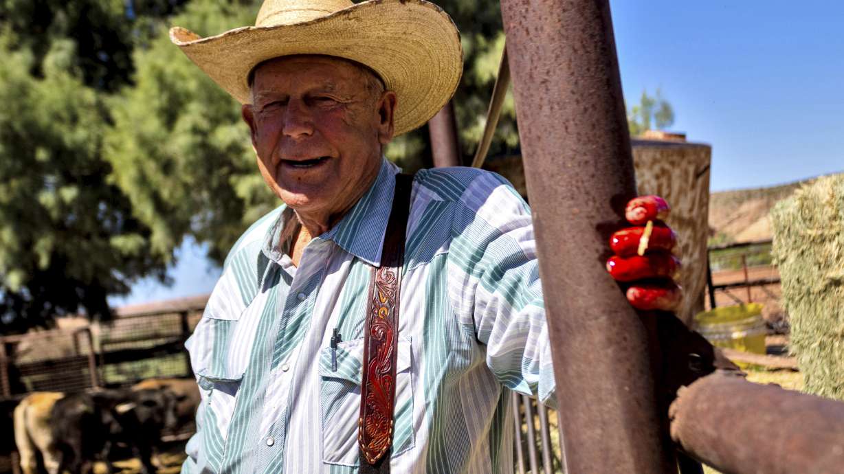 Cliven Bundy stands in a cattle pen at his ranch, Tuesday in Bunkerville, NV. Ten years have passed since hundreds of protesters including armed riflemen answered a family call for help which forced U.S. agents and contract cowboys to abandon an effort to round up family cattle in a dispute over grazing permits and fees.
